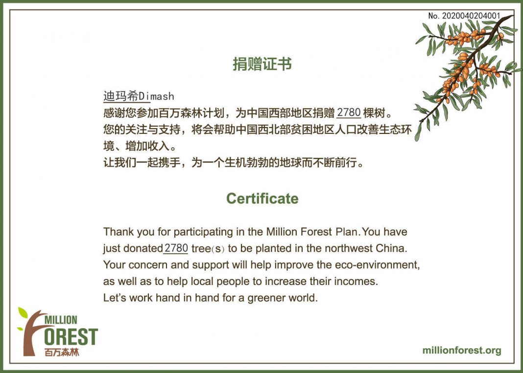 Китайские Dears посадили 2780 деревьев ко Дню рождения Димаша