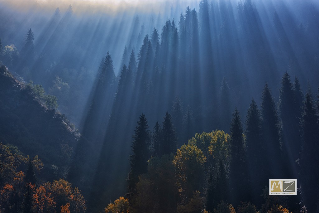 mountains trees rays 