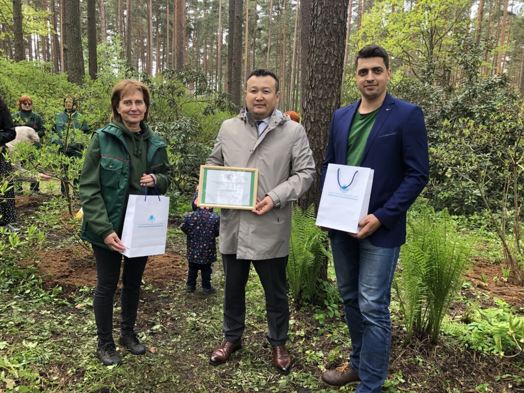 "Qazaqstan" rhododendron to appear in Latvia