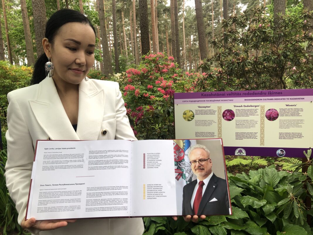 Rhododendron variety Dimash Qudaibergen will be given to the Botanical Garden of Nur-Sultan